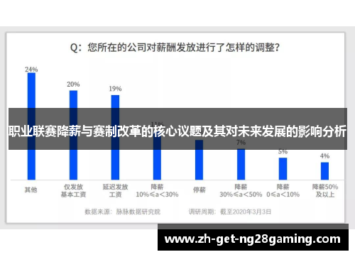 职业联赛降薪与赛制改革的核心议题及其对未来发展的影响分析