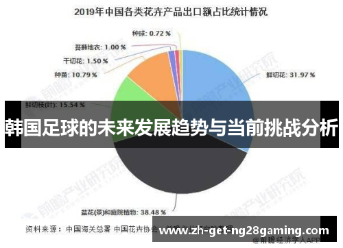 韩国足球的未来发展趋势与当前挑战分析 韩国足球的未来发展趋势与当前挑战分析