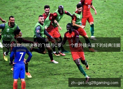 2016年欧洲杯决赛的飞蛾与C罗：一个意外镜头留下的经典注脚