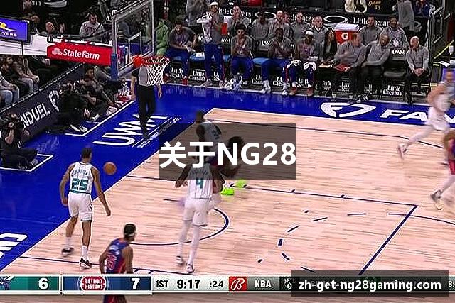 关于NG28